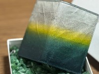 深い青緑の背中から側線付近の黄色、腹部の白までのグラデーションが表現されている／FUNAさん（@FUNA84）提供