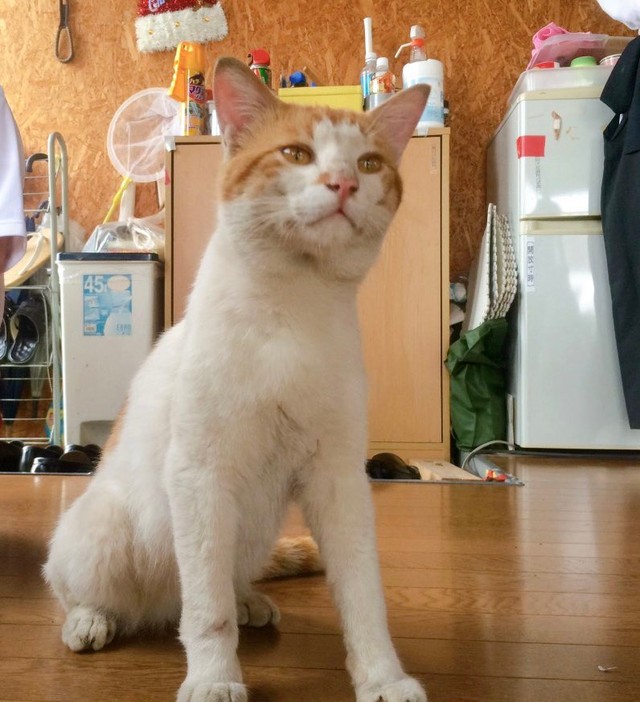 部員の練習を見ていました（ハナさん提供）