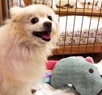 るったんは奇跡的な回復をとげ、再び笑顔を見せてくれるようになりました