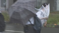 大雨の状況(高松市寿町)午前8時ごろ