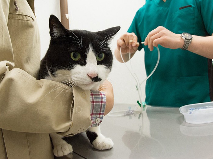 「な〜んか嫌な予感」（小林写函撮影）