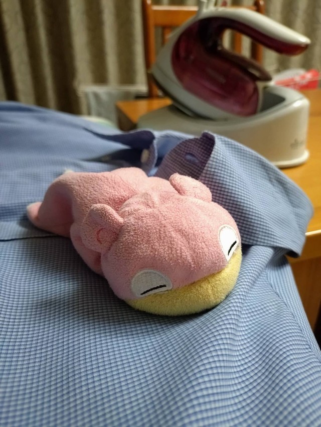じいじからの3枚目。アイロンをかけている途中なのか、シャツ上にヤドンが。すっかりじいじとの生活に馴染んでいる様子（ミントさんXより）