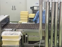 大量のブラックサンダーが製造される様子が見られる（特別に許可を得て撮影しました）