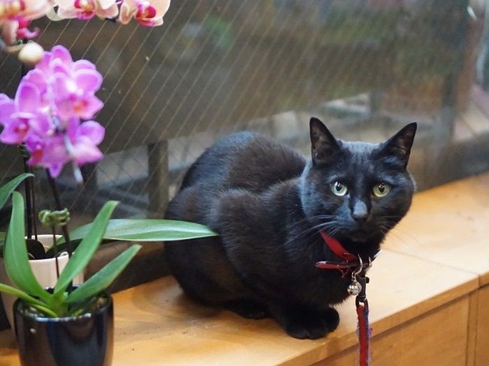 「お店はお休みなしでーす」