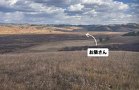 草原のはるか彼方にお隣さん（sheilaさん提供）
