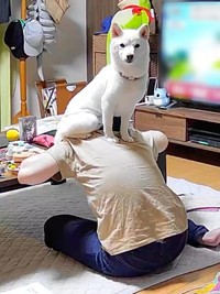 雷大丈夫？ 見守りカメラを見たらーーお母さんの背中の上に乗っていたさぬきちゃん（画像提供：Horiさん）