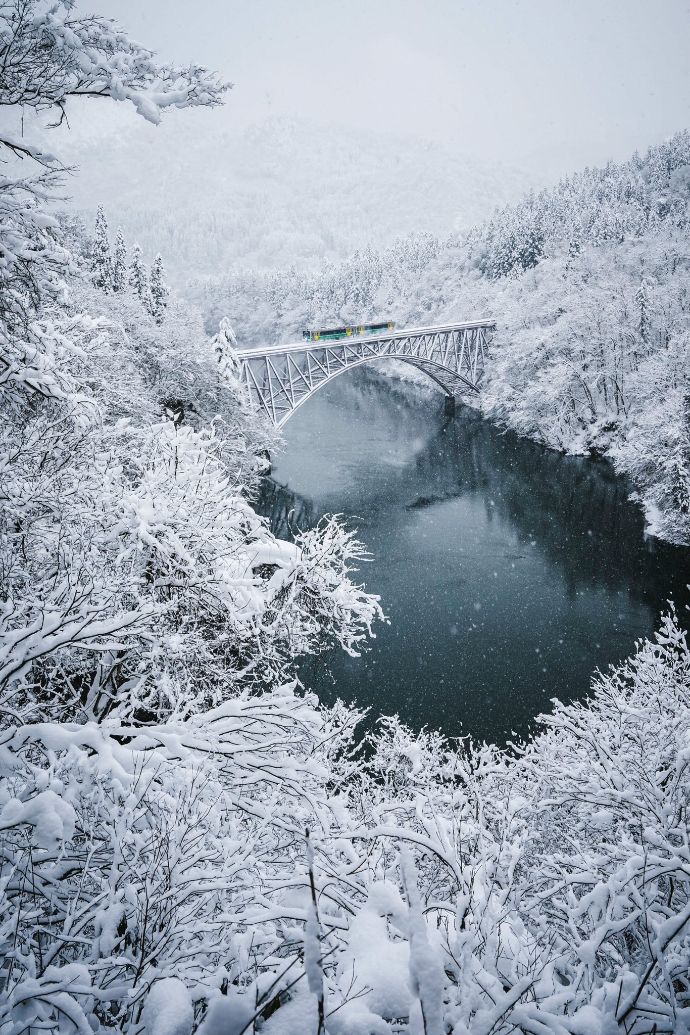 efd426857b9366860fd5f6ea83d803