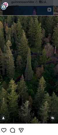 ギネス記録のインスタグラム＠guinnessworldrecordsより