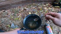 ちゃんと甘くなっています／ちーとん。さん提供