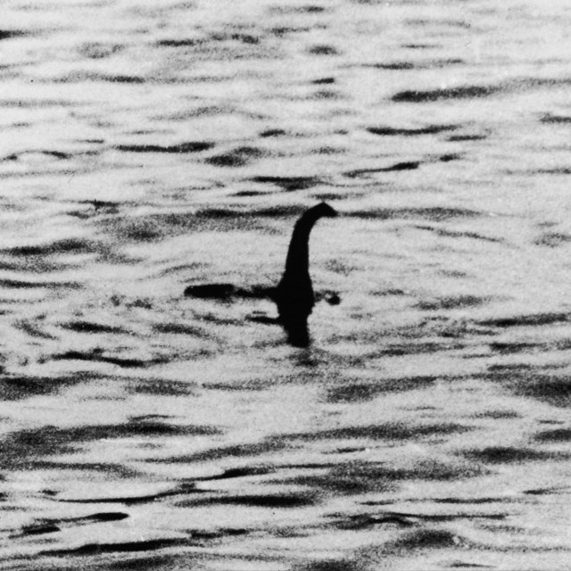 「世界伝説的怪物連盟」設立