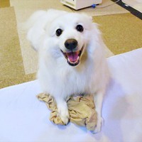 お気に入りの布を手にしてにこにこ笑顔の楽くん（画像提供：くーさんママさん）