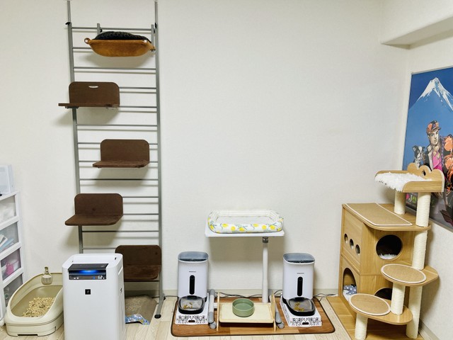 猫の家に住まわせてもらっている？！と思うほど猫用品だらけ