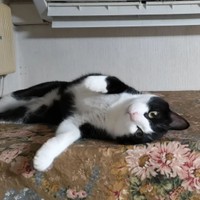 まったりくつろいでいる幸せなひととき