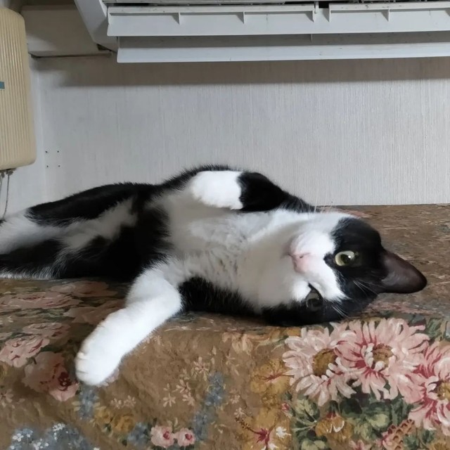 まったりくつろいでいる幸せなひととき