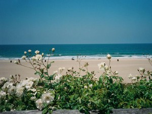 しつこい先輩から逃げたくて、同級生の告白に“Yes”のウソをついた