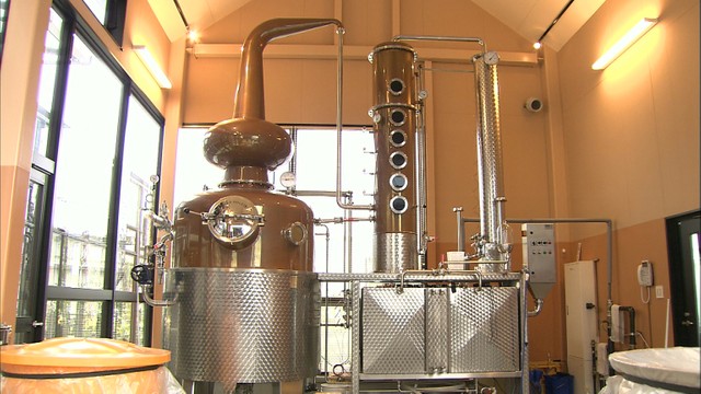 来年創業190周年の天満屋　記念ウイスキーの製造始まる　岡山県産大麦使用