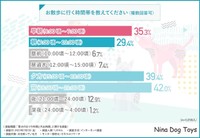 お散歩に行く時間帯（提供画像）