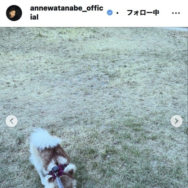 杏のインスタグラム＠annewatanabe_officialより