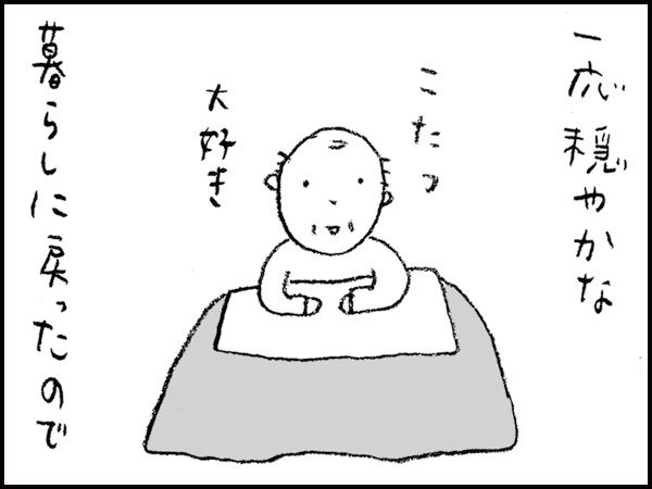 一応穏やかな暮らしに戻ったので　こたつ大好き