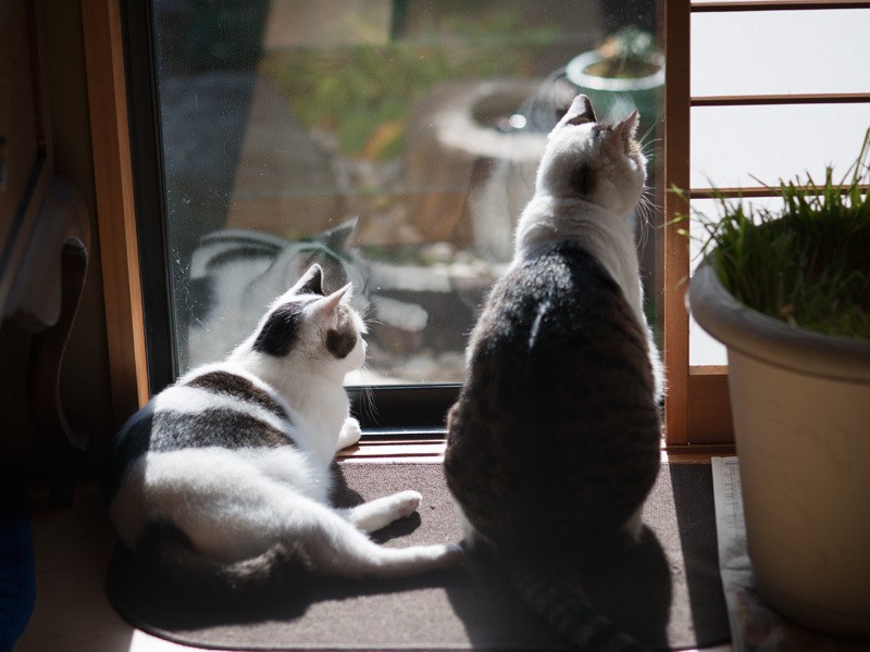 「お客さんの車、後ろがキズだらけだね」「逃げてばかりいるからじゃない」（小林写函撮影）