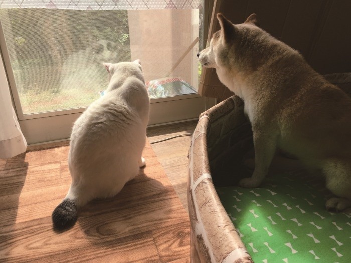 何もしなくてもそばにいるだけでいい日もある　（辰巳出版　提供）