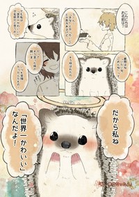 生前、闘病を頑張ったことが伺えるハリネズミ