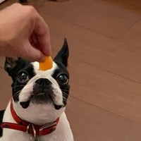 美味しいものには目がありません