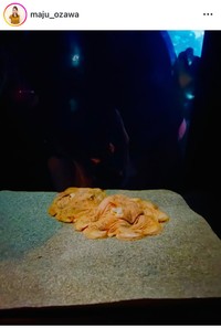 小沢真珠インスタグラム＠maju_ozawaより