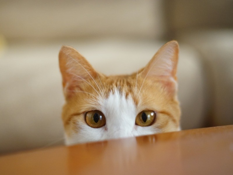 あたしがパワーを送ったげる