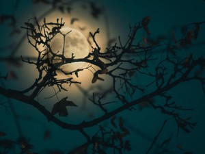 「欠点なんて一つもない。でも友達に戻りたい」。元彼の言葉がトラウマに