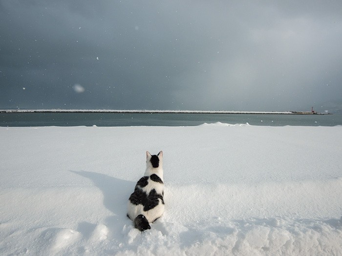 鉛色した小樽の空と海