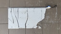 落下したボード　香川県提供