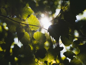 今、改めて思う。縛られていると思った薬剤師への夢は、私が選んだ道