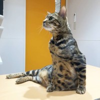 マンション4階から転落し骨盤骨折の大ケガを負った榎くん