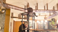 キャットタワー上段の様子（提供：無重力猫ミルコのお家さん）