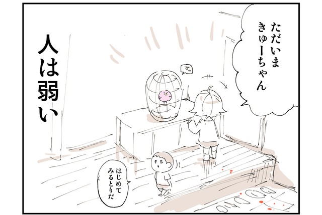 突然きゅーちゃんの色が変わっても受け入れる（ぬこー様ちゃんさん提供）