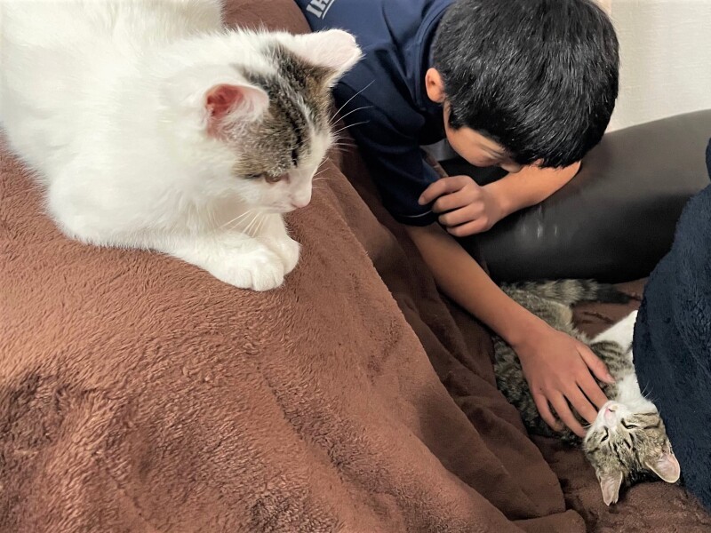 誰かにいつも可愛がられている姉妹（N家提供）