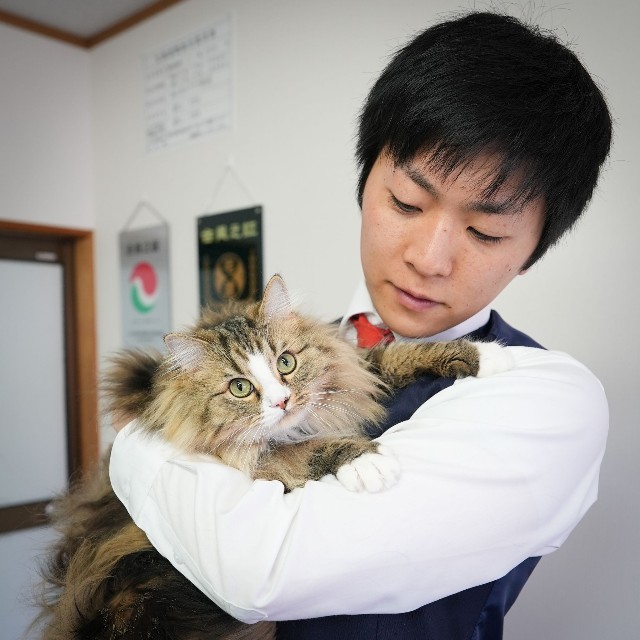 鶴上さんと看板猫のいぐさ
