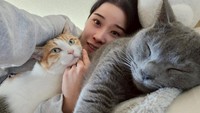 円井わんと愛猫