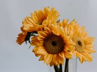 暑い日でも「秋だから」長袖を着た私と、ひまわり柄のワンピース