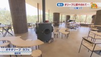 オキオリーブ カフェ　高松市