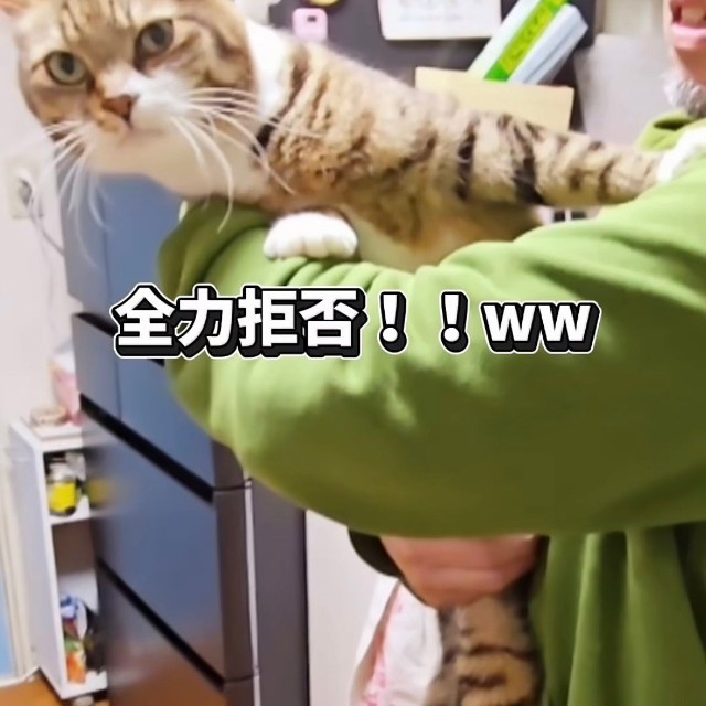 お父さんの抱っこは全力で拒否（投稿からキャプチャ）
