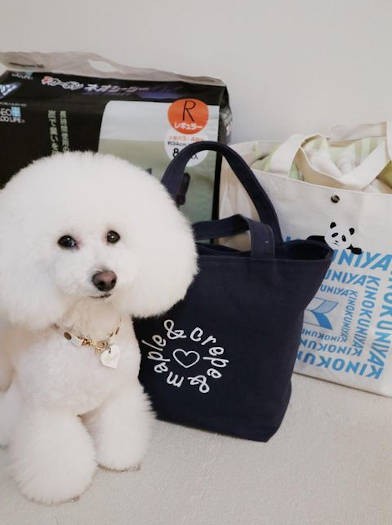 愛犬用持ち出し袋はまとめるかなりの量に。これらを実際に持って、愛犬とともに避難する訓練をしておくことは大切です