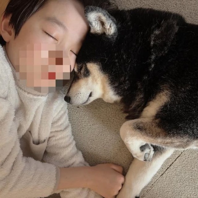 epiさんちの息子さんとクマくん。信頼関係が伝わってくる…（画像提供：epiさん）