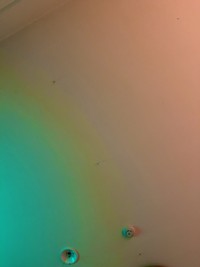 （くまよしさん提供）