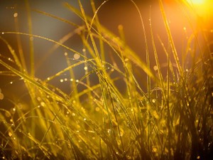 明るかった言葉がいつの間にか困惑する言葉に。元気ってなんだろう