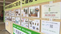 岡山市役所で行われているパネル展示（7月2日まで）