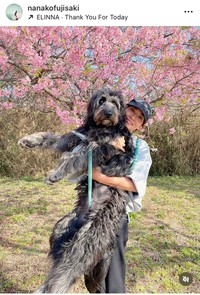 藤崎奈々子インスタグラム＠nanakofujisakiより
