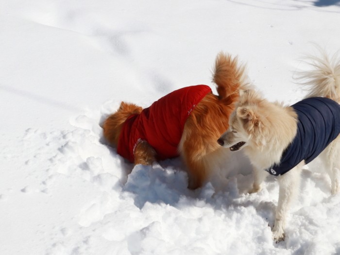 顔から突っ込んだ瞬間