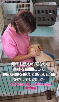 空くんは甘えるようになりました（北村さん提供、Instagramよりキャプチャ撮影）